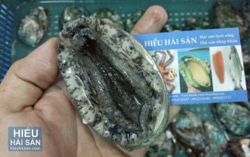 Bào ngư Hàn Quốc
